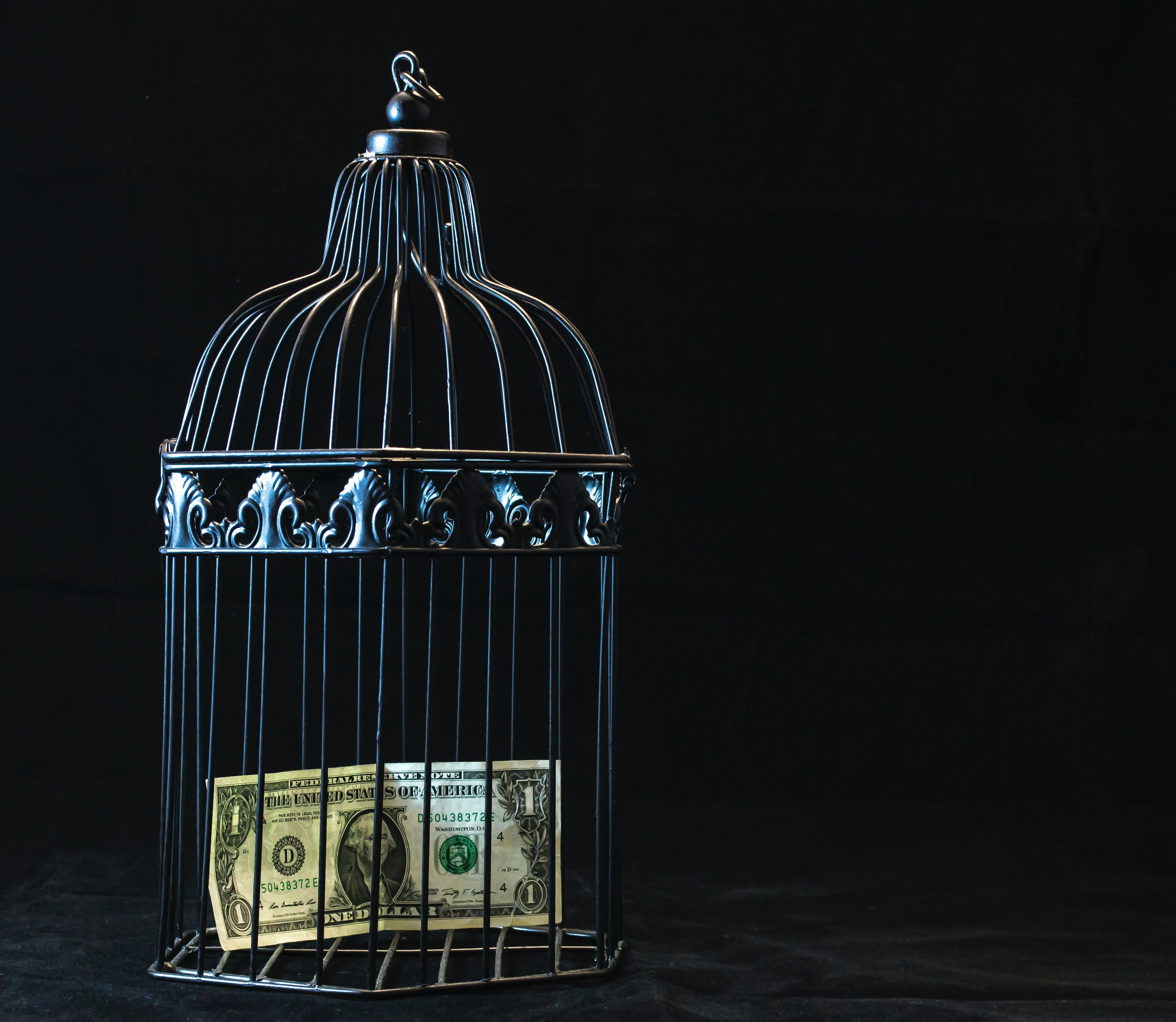 money in a cage
